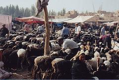 Kashgar.jpg