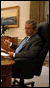bush-sitting.gif