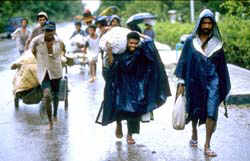 refugees easttimor.jpg