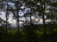wald_I.jpg